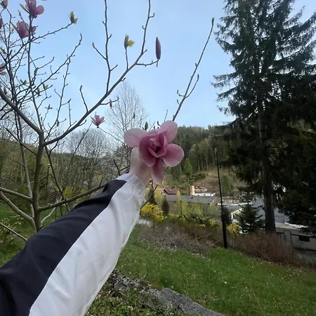 Lesny Dworek Marianny 4 Osobowy * Miedzygorze